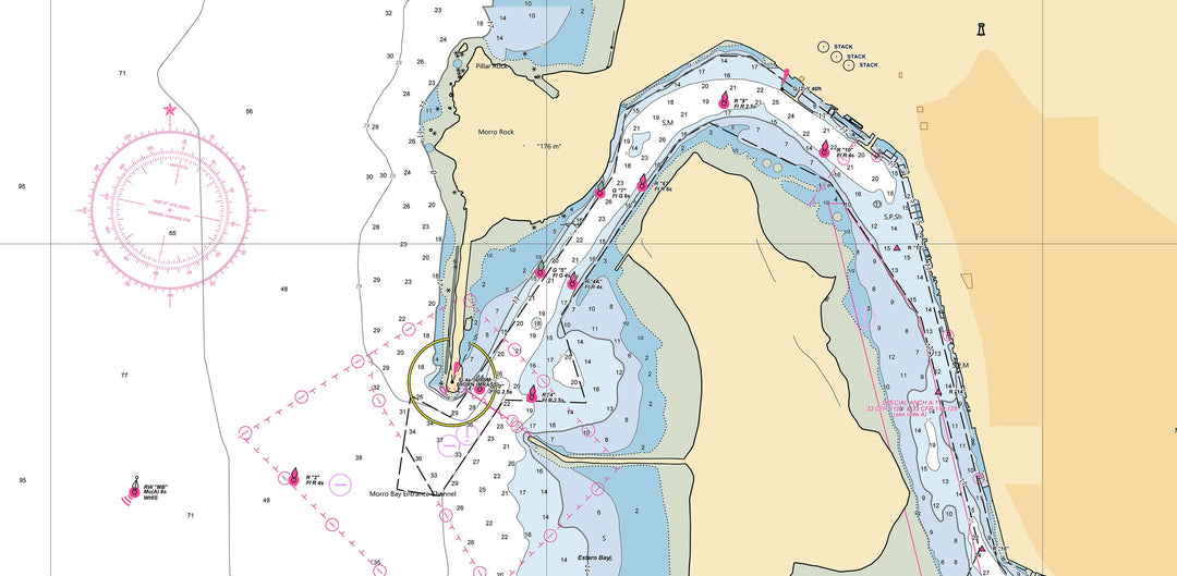 Understanding the Compass Rose: Purpose, Use, and Magnetic Variation