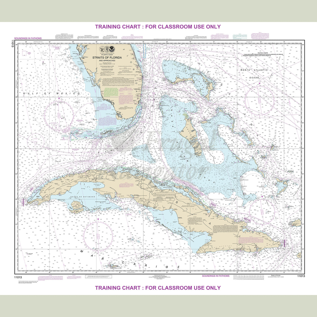 11013 Wall Chart