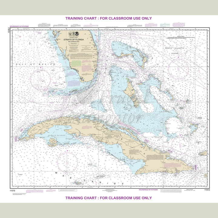 11013 Wall Chart