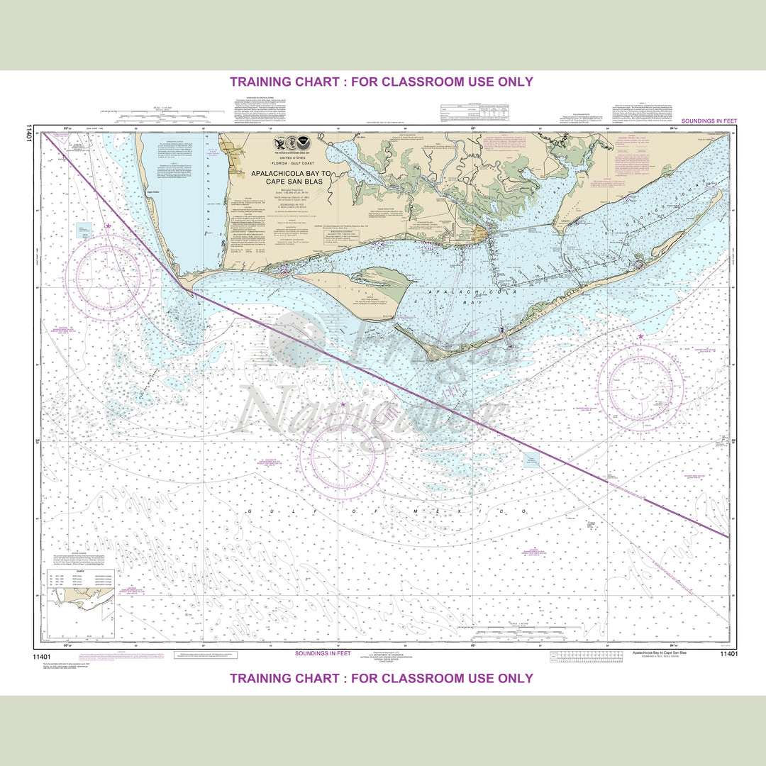11401 Wall Chart