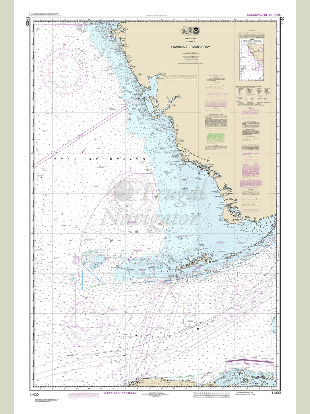 11420 Wall Chart