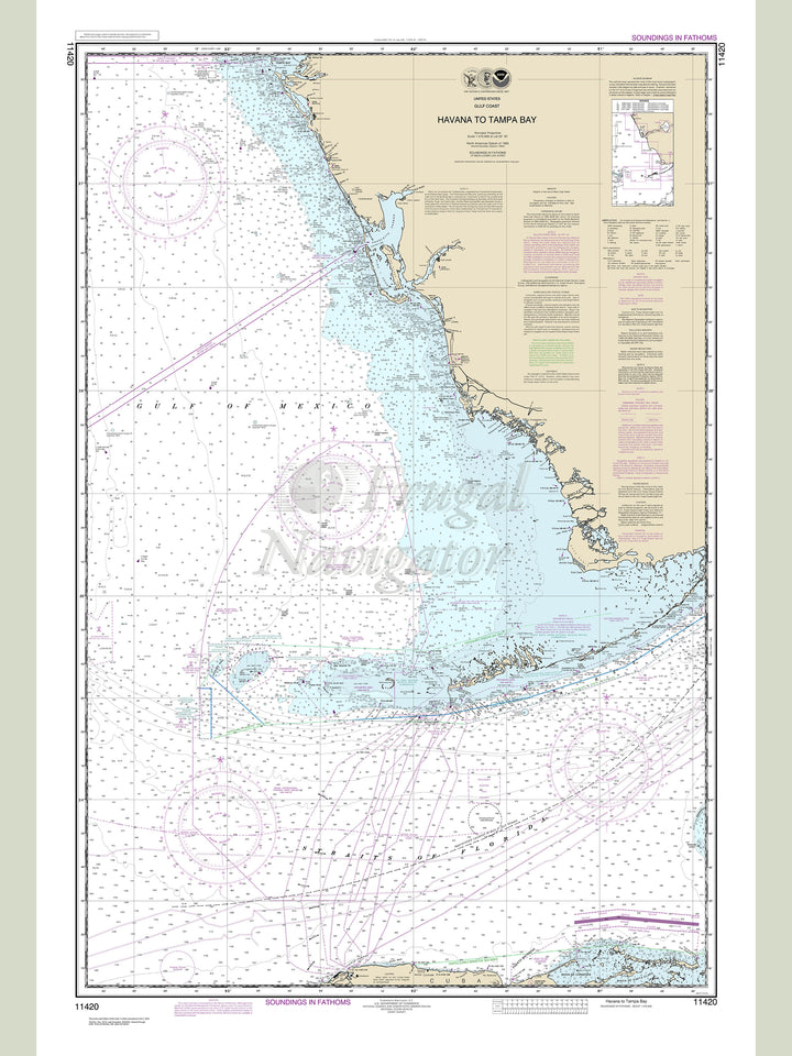 11420 Wall Chart