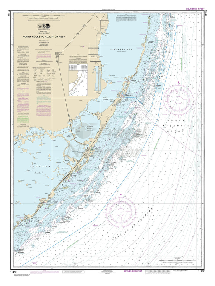 11462 Wall Chart
