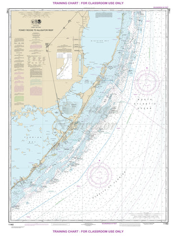 11462 Wall Chart