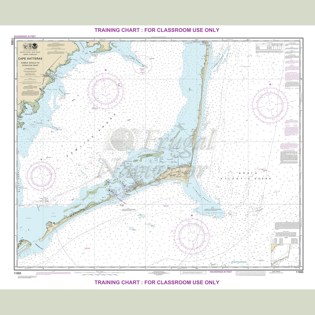 11555 Wall Chart