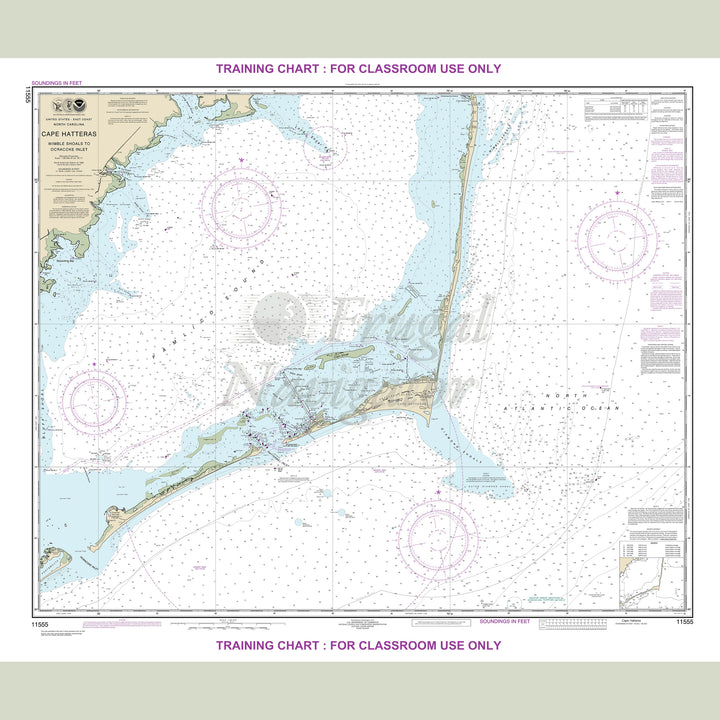 11555 Wall Chart