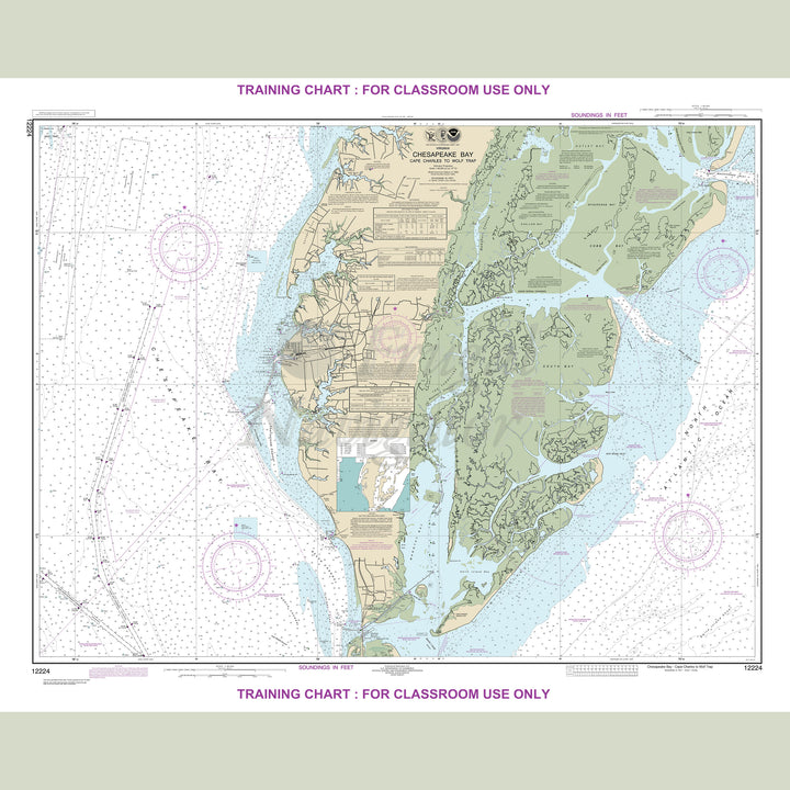 12224 Wall Chart