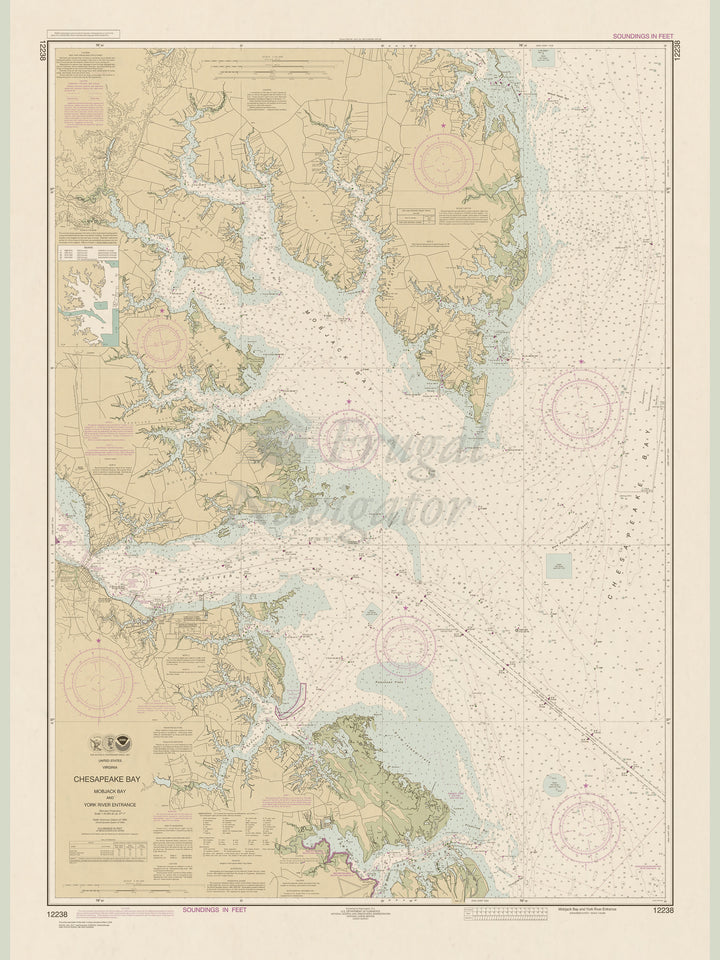 12238 Wall Chart