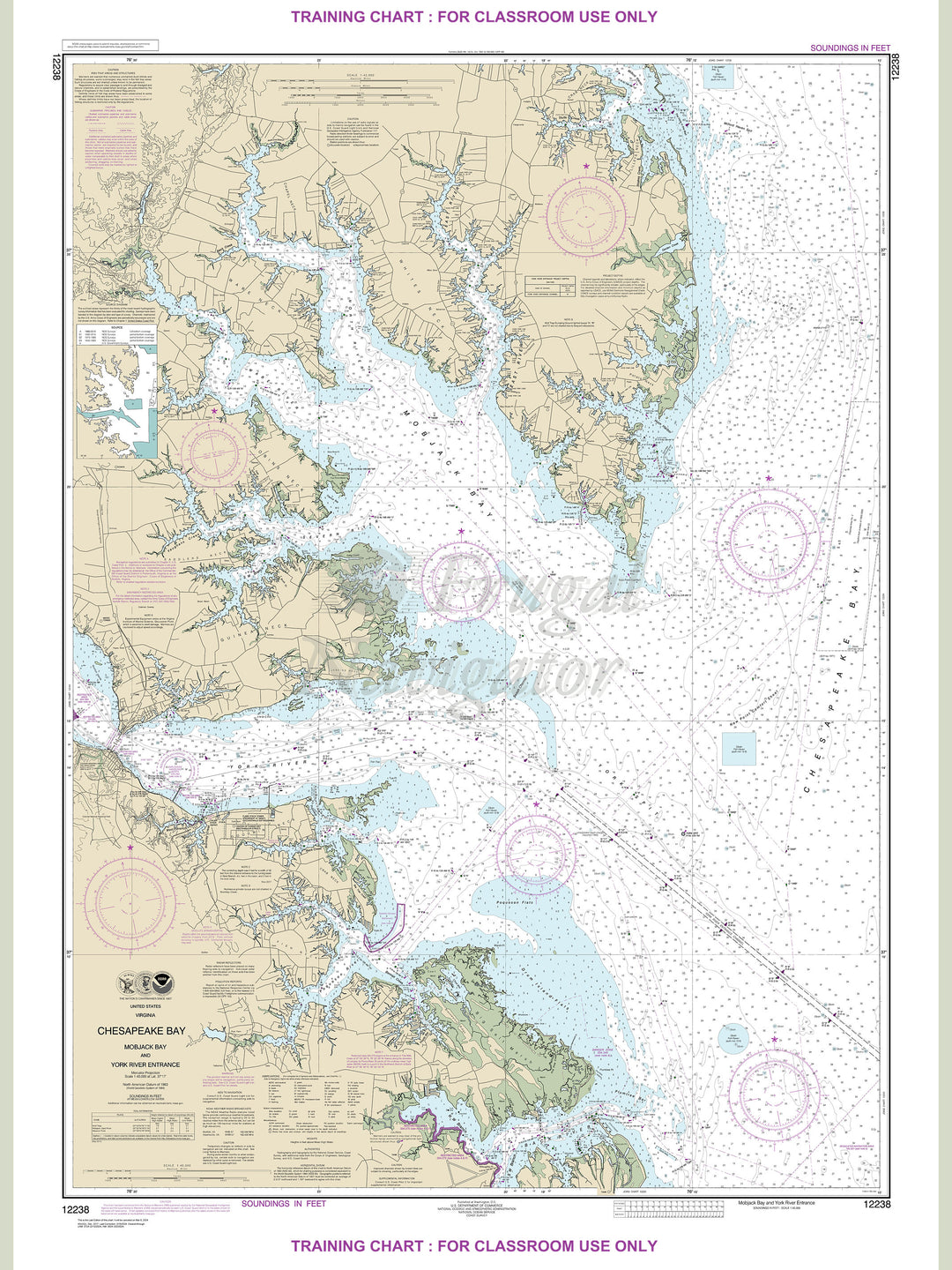12238 Wall Chart