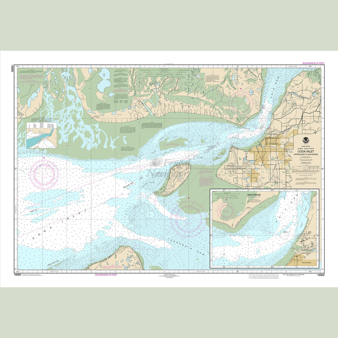 16665 Wall Chart