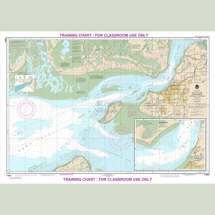16665 Wall Chart