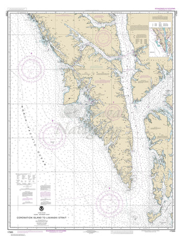 17320 Wall Chart