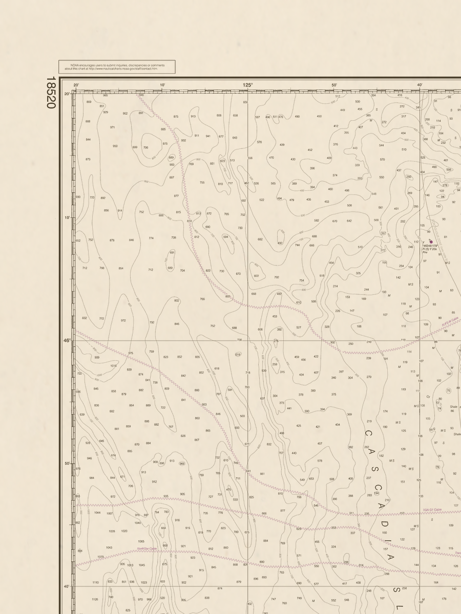 18520 Wall Chart