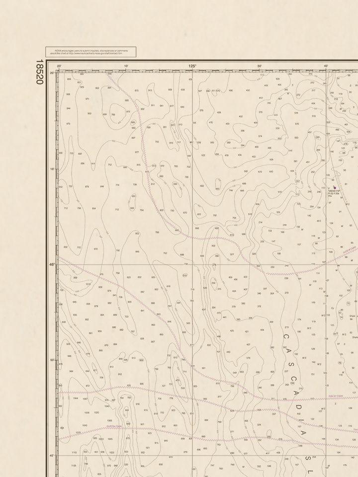 18520 Wall Chart