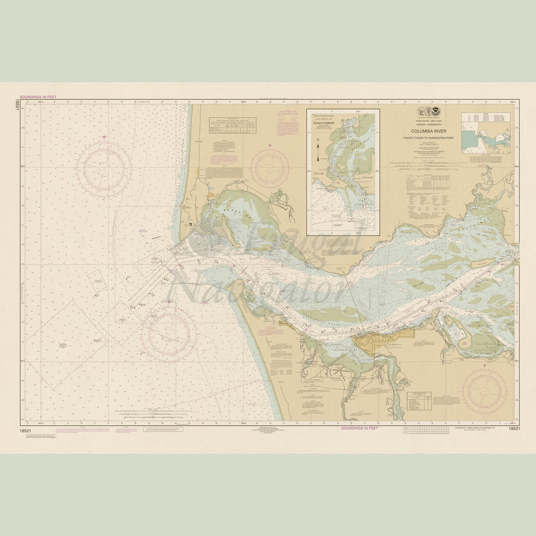 18521 Wall Chart