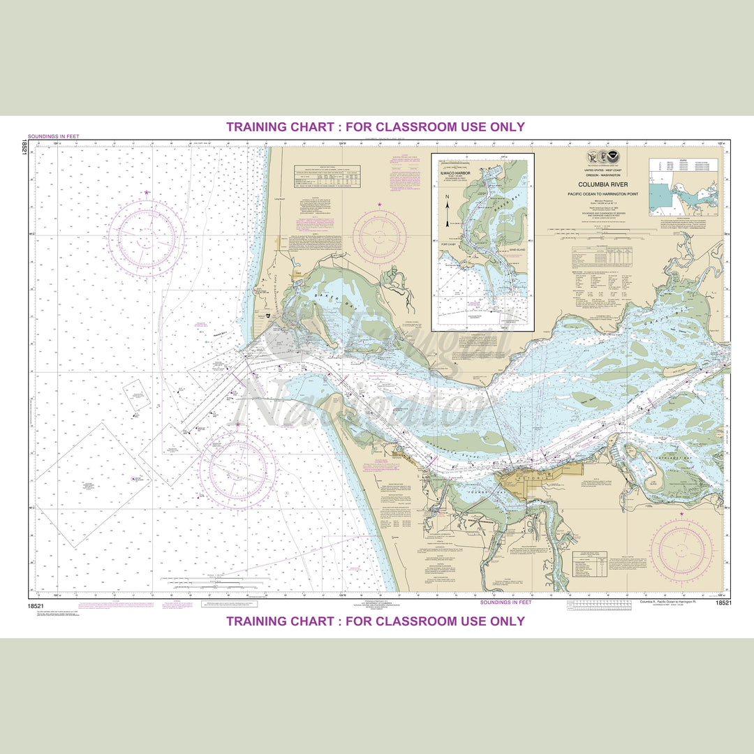 18521 Wall Chart