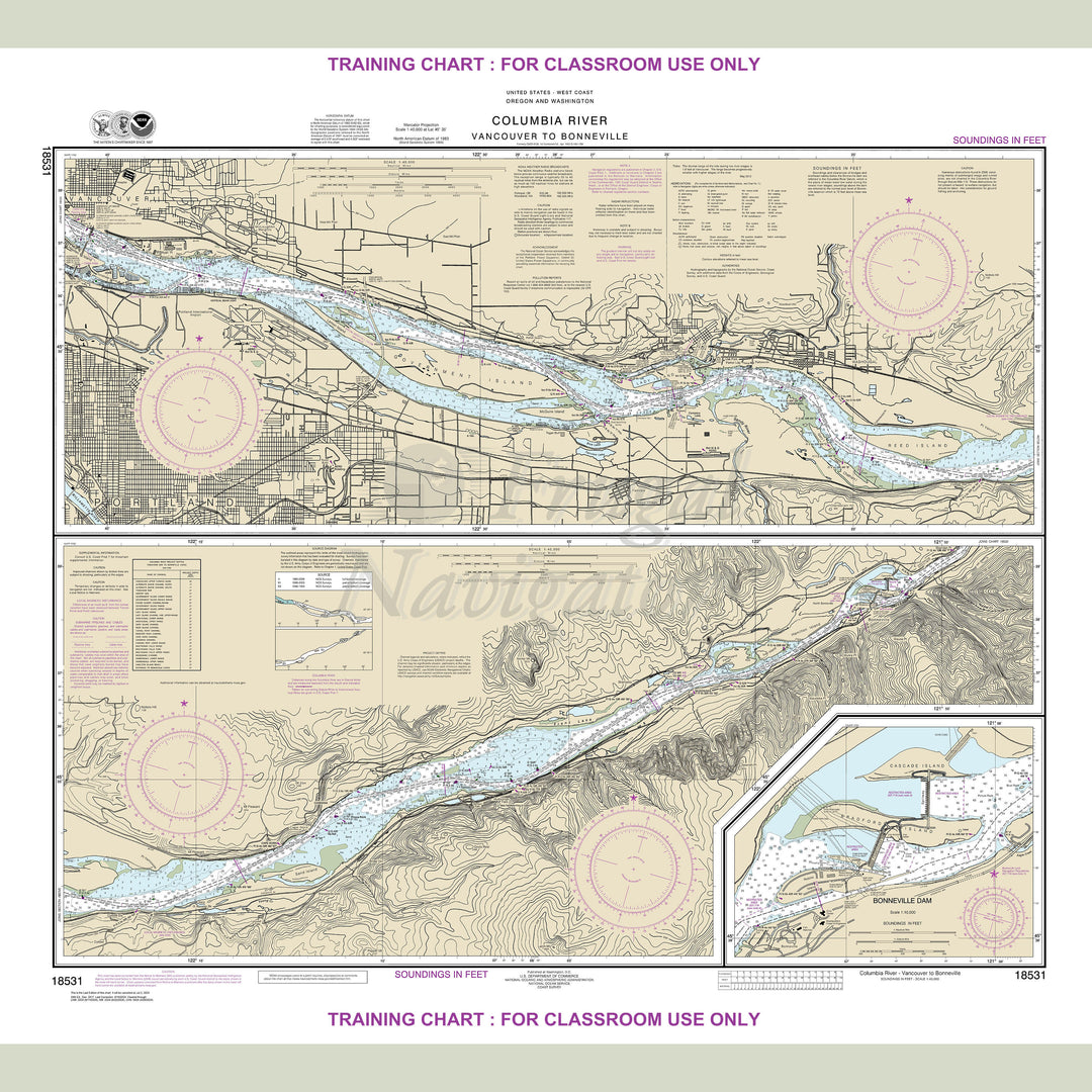 18531 Wall Chart
