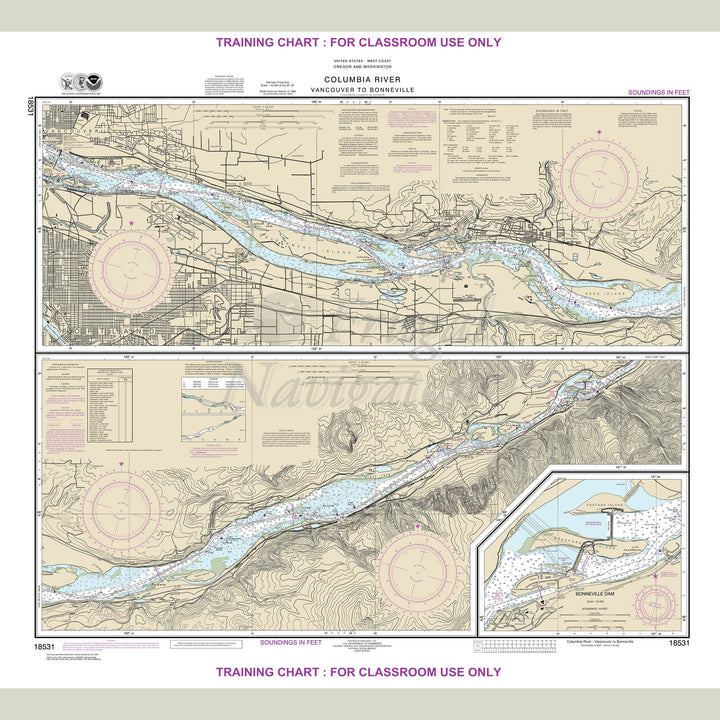 18531 Wall Chart