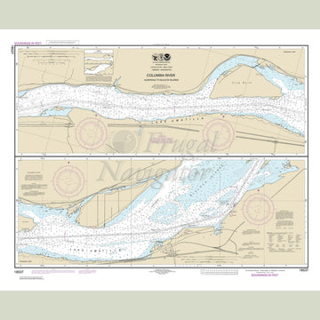 18537 Wall Chart