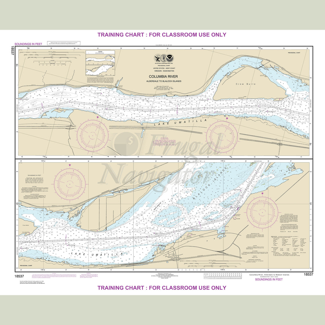 18537 Wall Chart