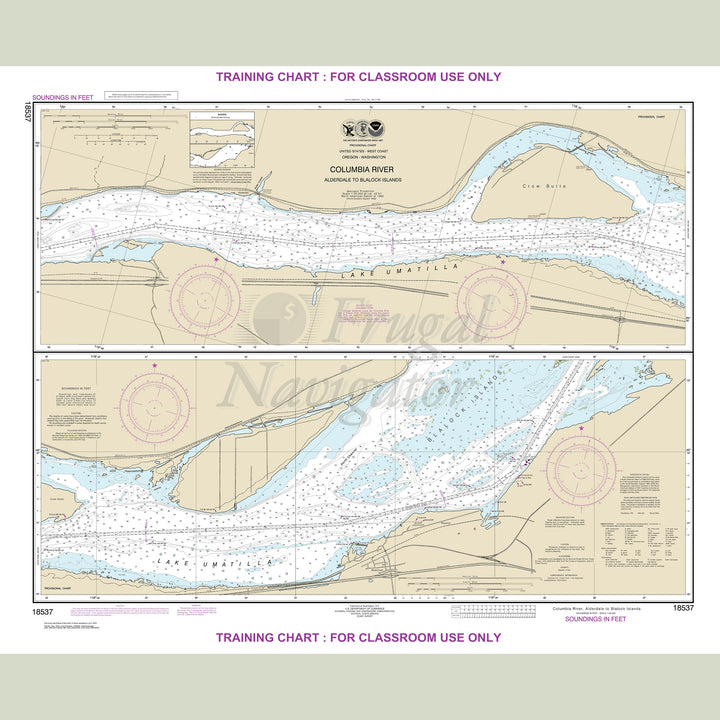 18537 Wall Chart