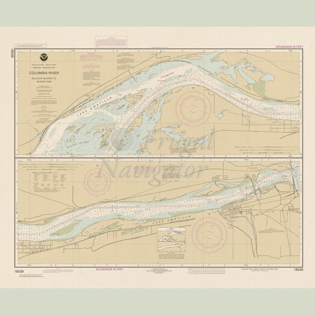 18539 Wall Chart