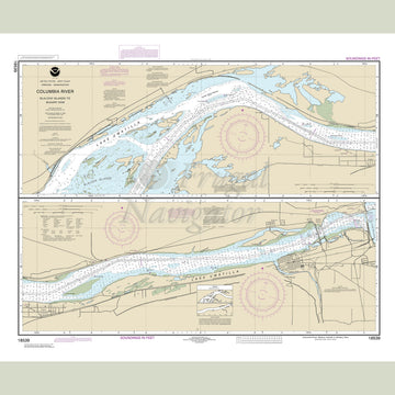 18539 Wall Chart
