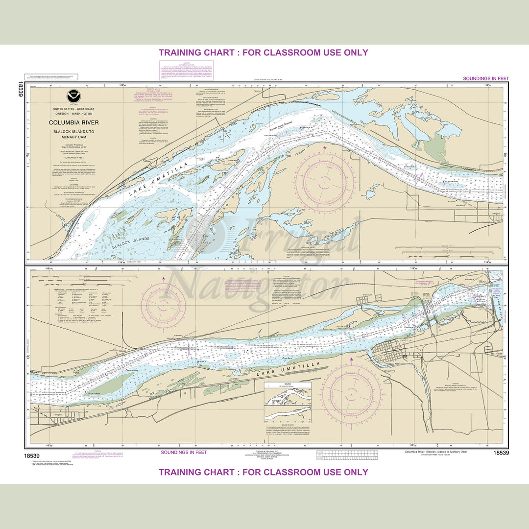 18539 Wall Chart
