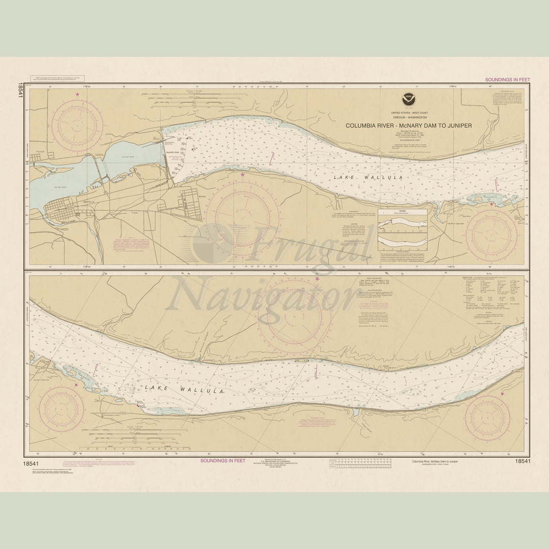 18541 Wall Chart