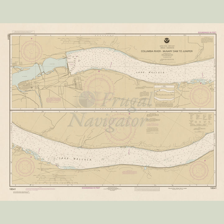 18541 Wall Chart