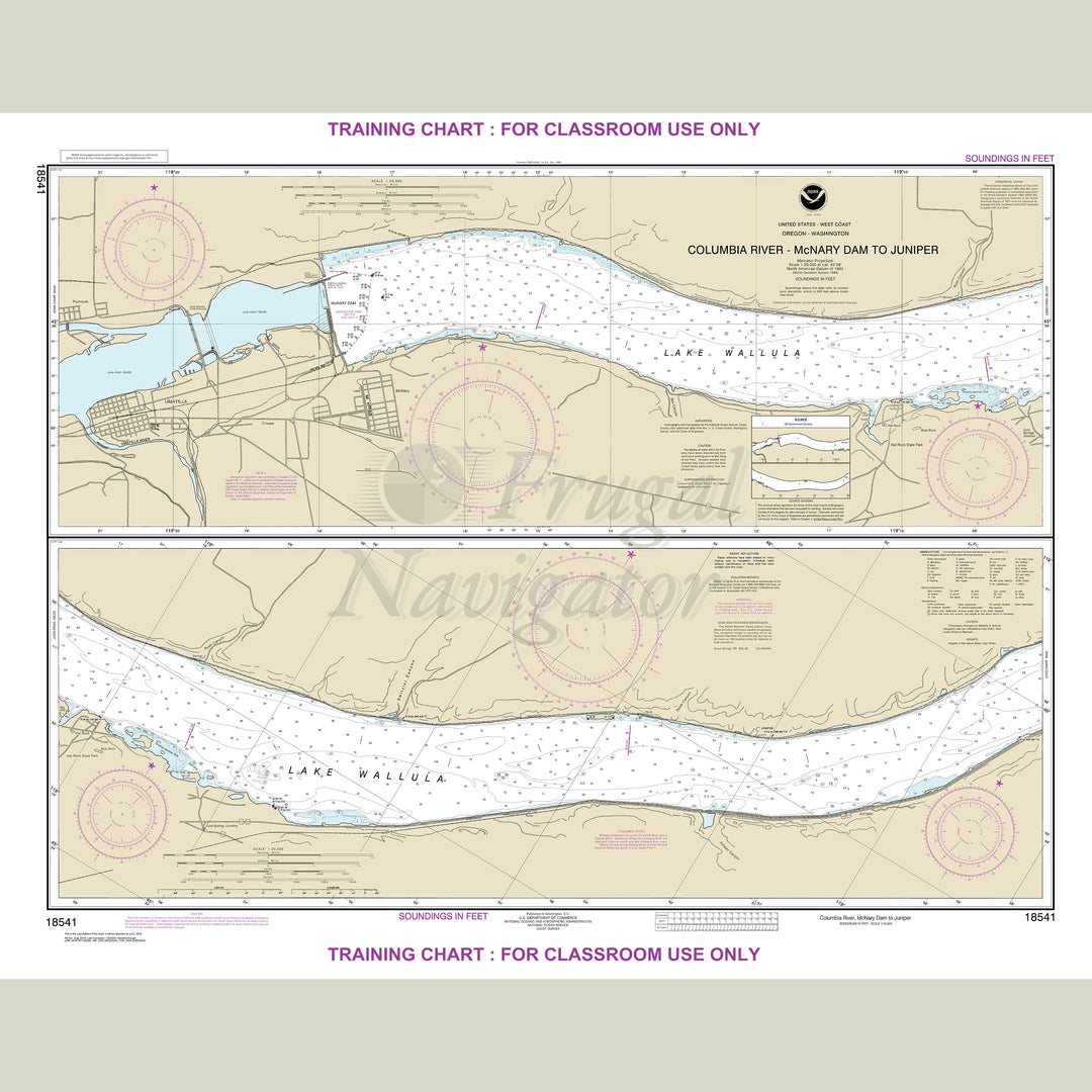 18541 Wall Chart