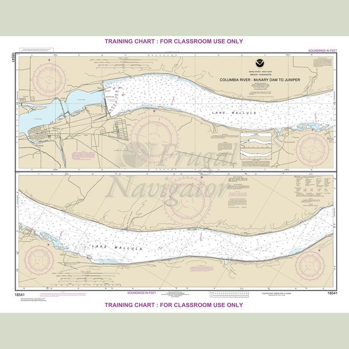 18541 Wall Chart