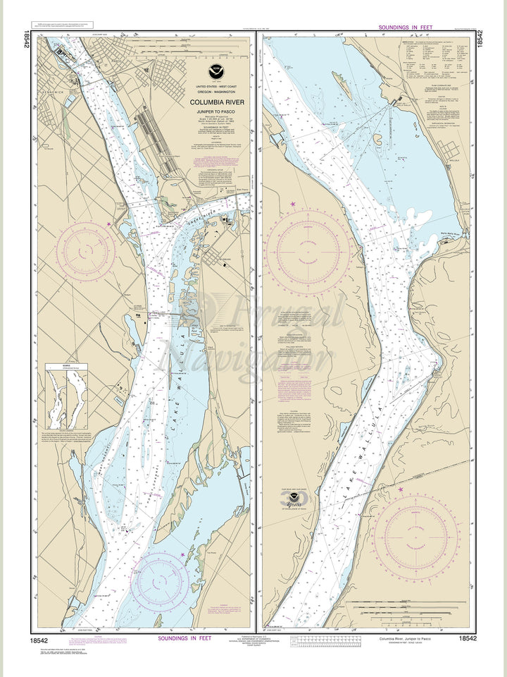 18542 Wall Chart