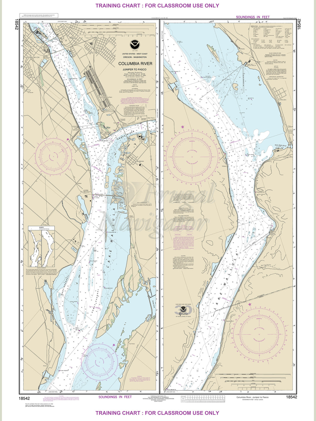 18542 Wall Chart