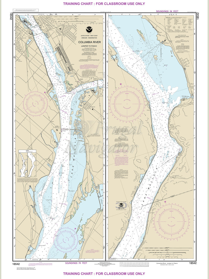 18542 Wall Chart