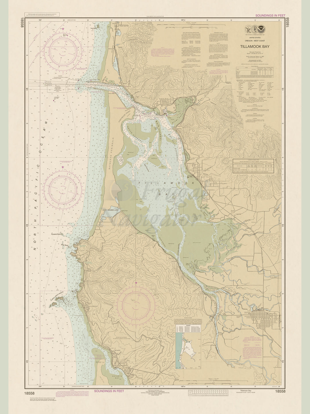 18558 Wall Chart