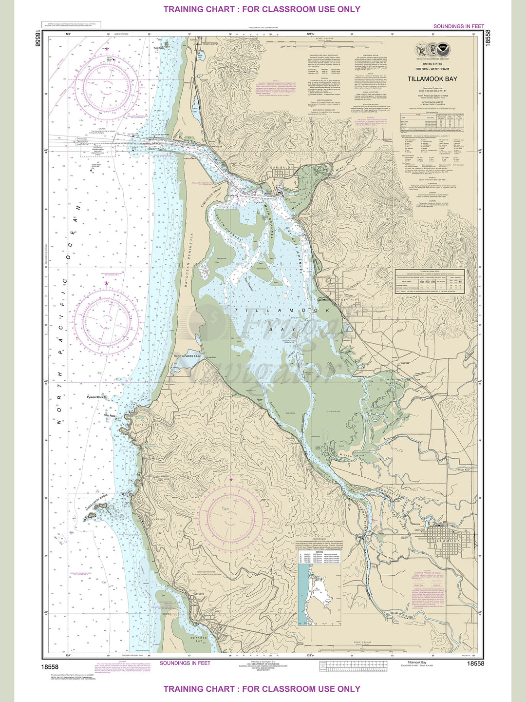 18558 Wall Chart