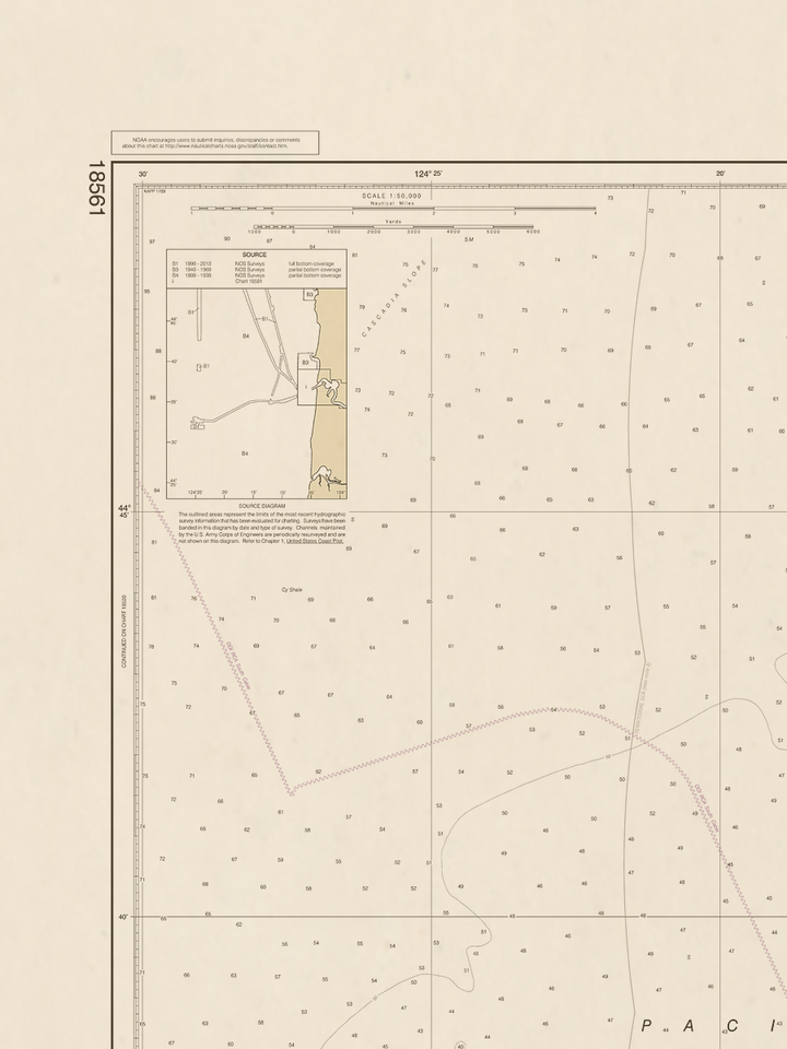 18561 Wall Chart