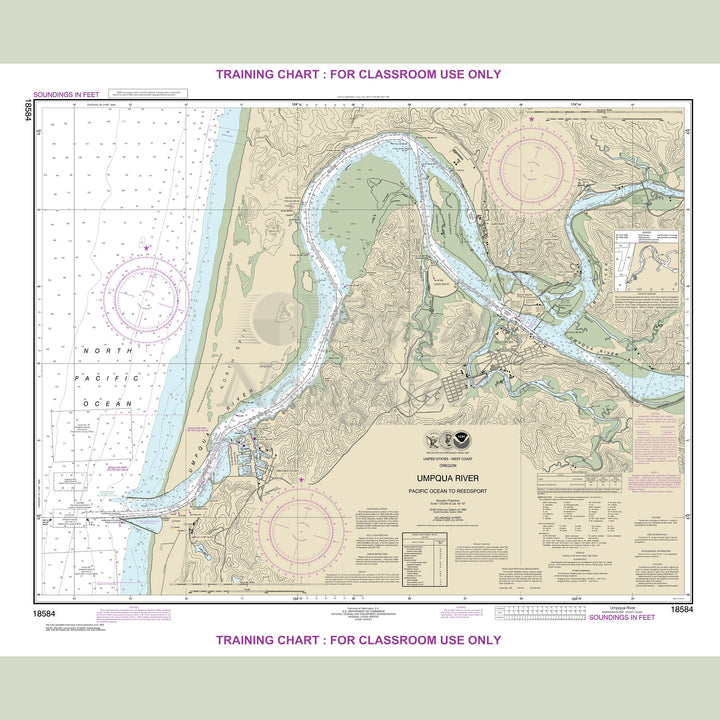 18584 Wall Chart