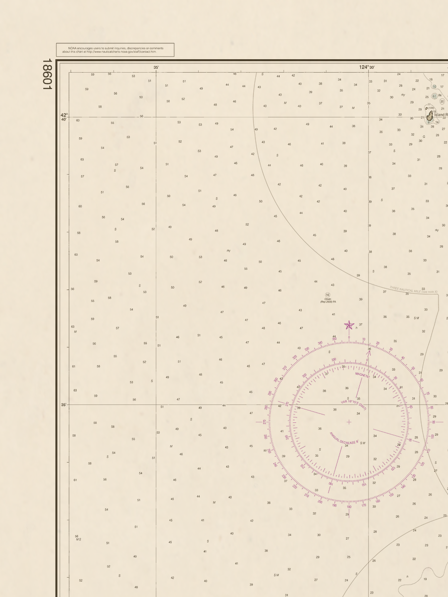 18601 Wall Chart