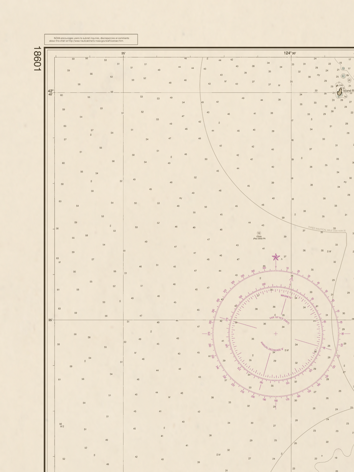 18601 Wall Chart