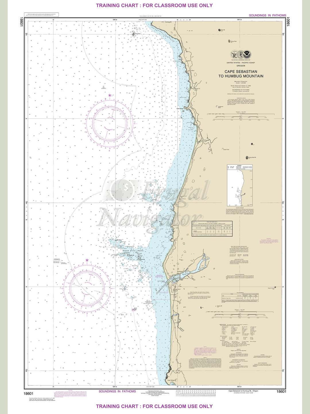 18601 Wall Chart