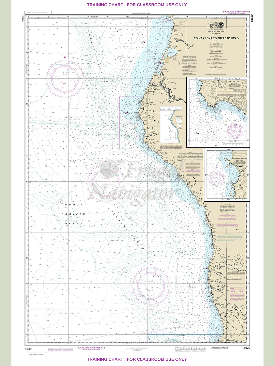 18620 Wall Chart