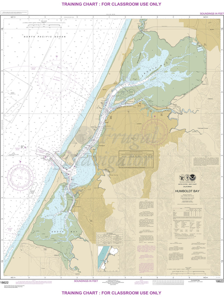 18622 Wall Chart