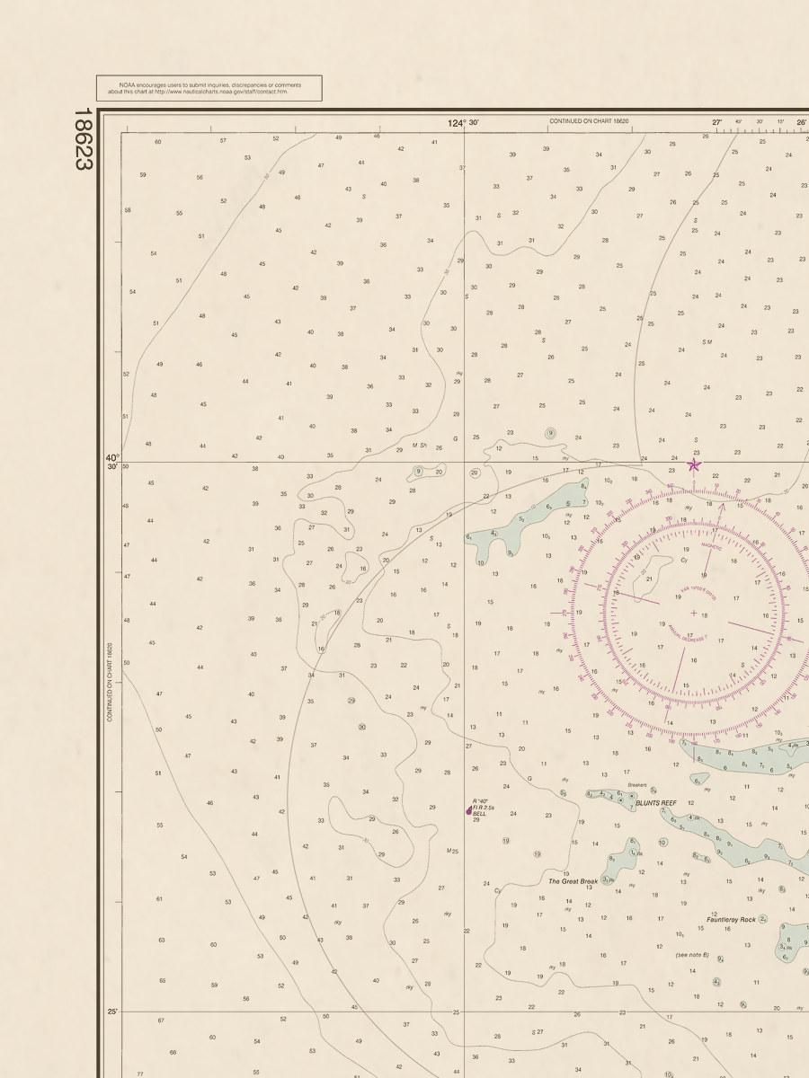 18623 Wall Chart