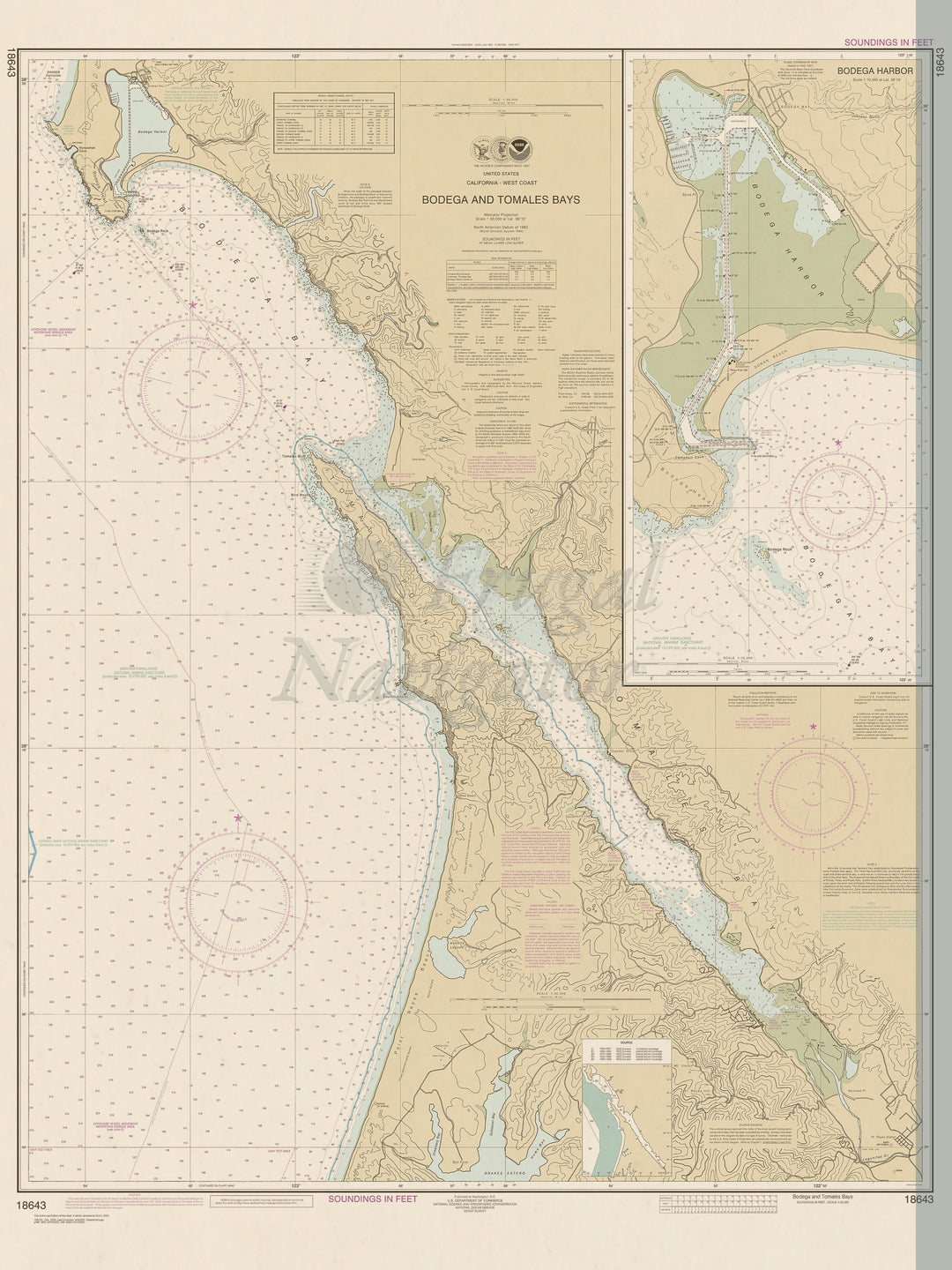 18643 Wall Chart