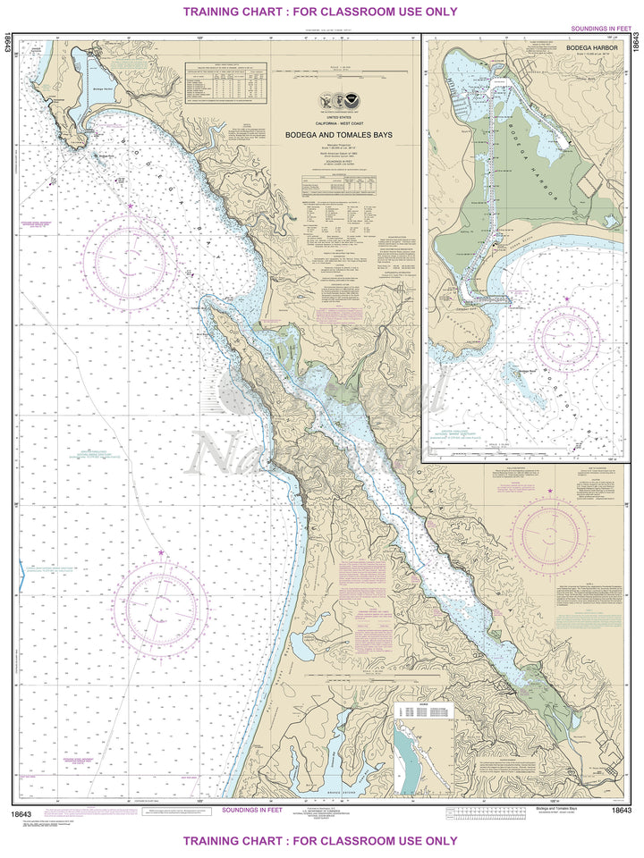 18643 Wall Chart