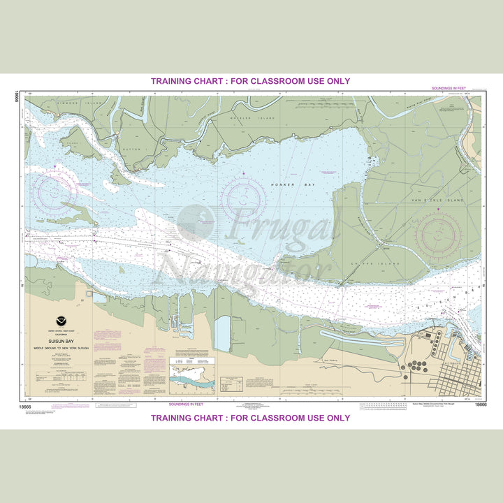 18666 Wall Chart