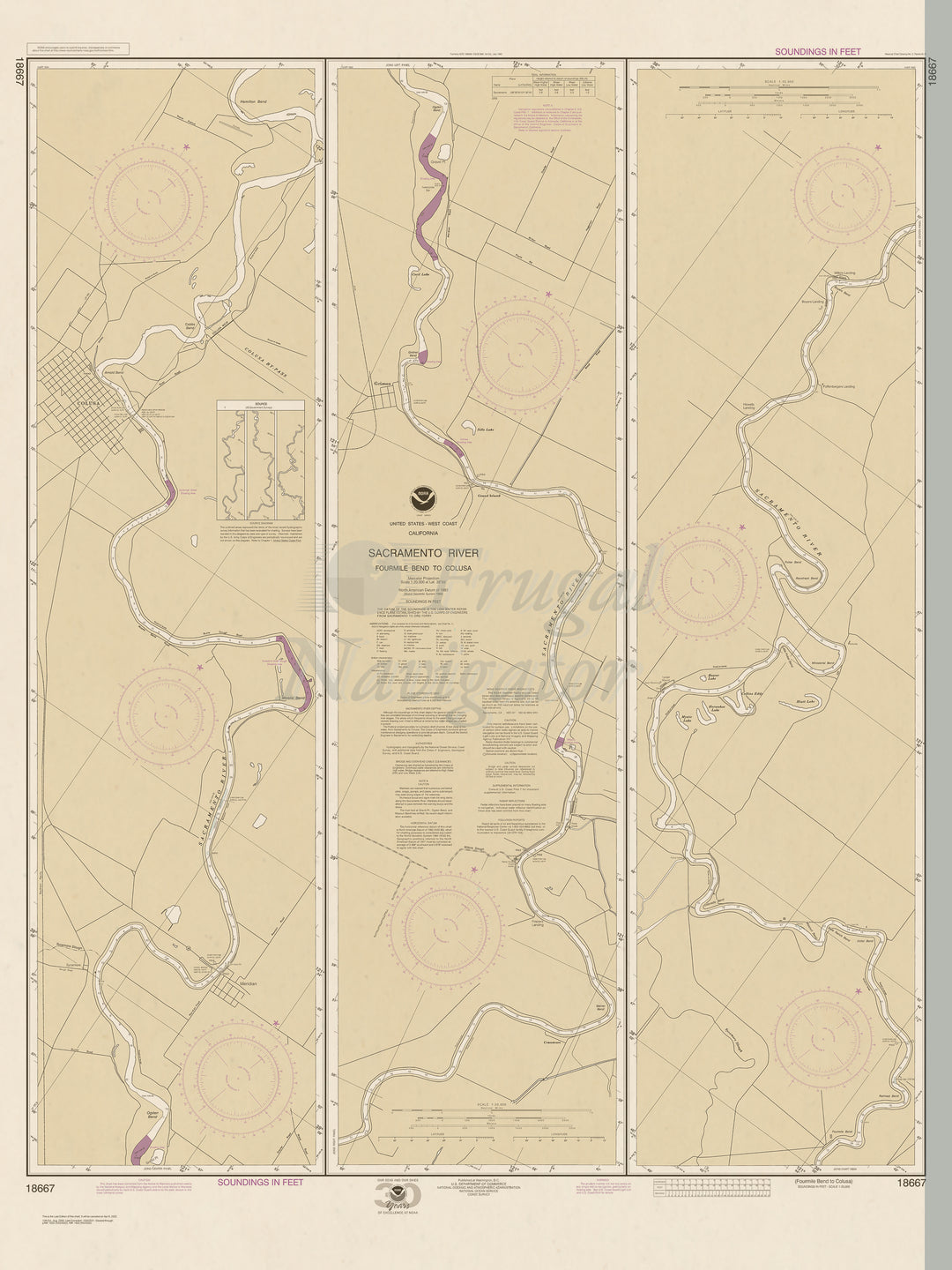 18667 Wall Chart
