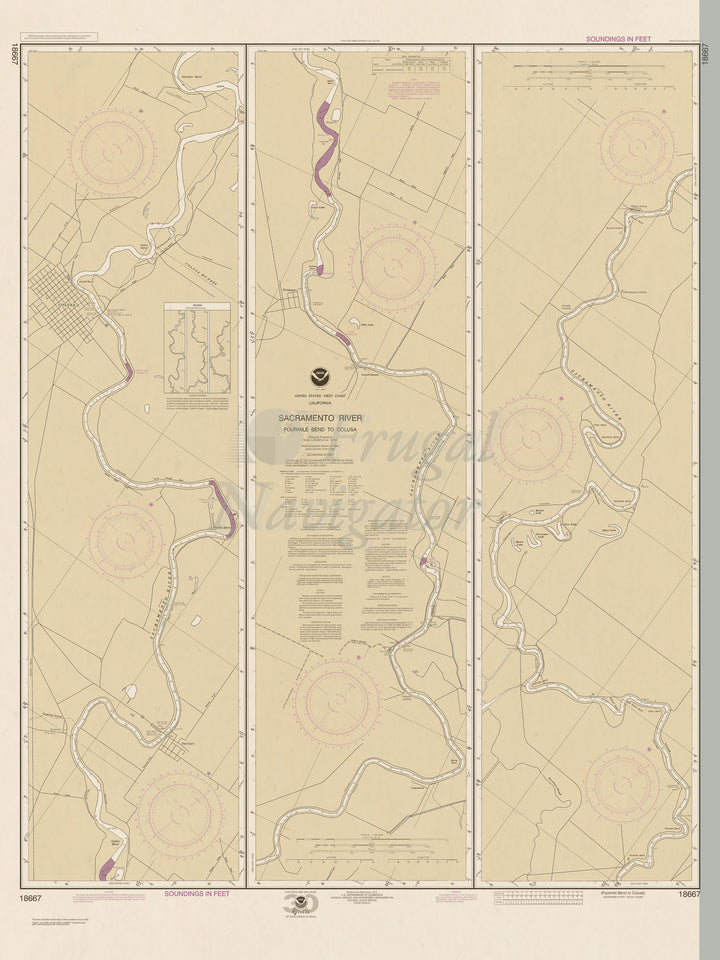 18667 Wall Chart